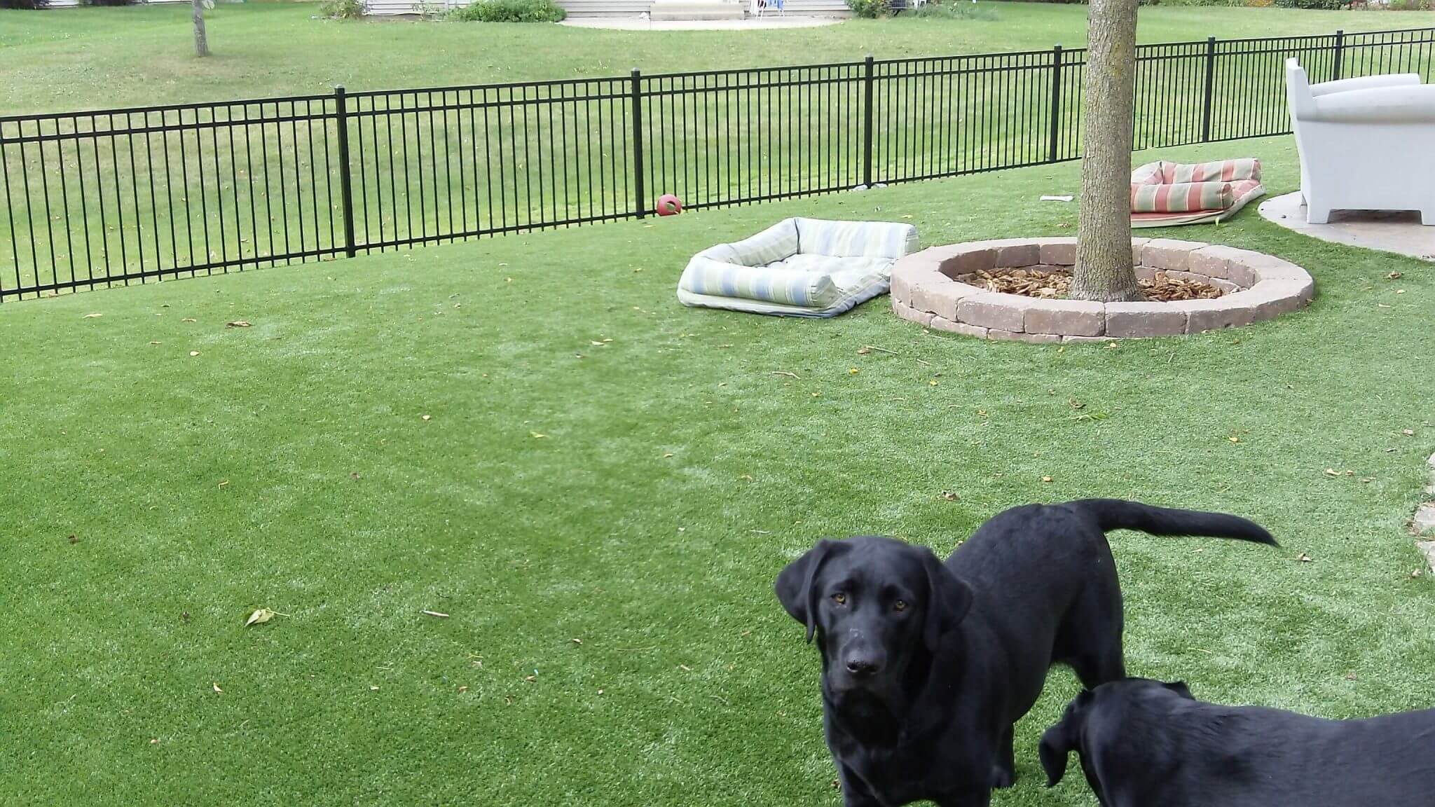 Perfect Turf Pet Grass Safe Synthetic Turf For Dogs